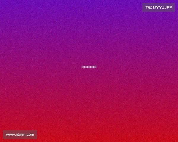 赛事专用训练球有哪些